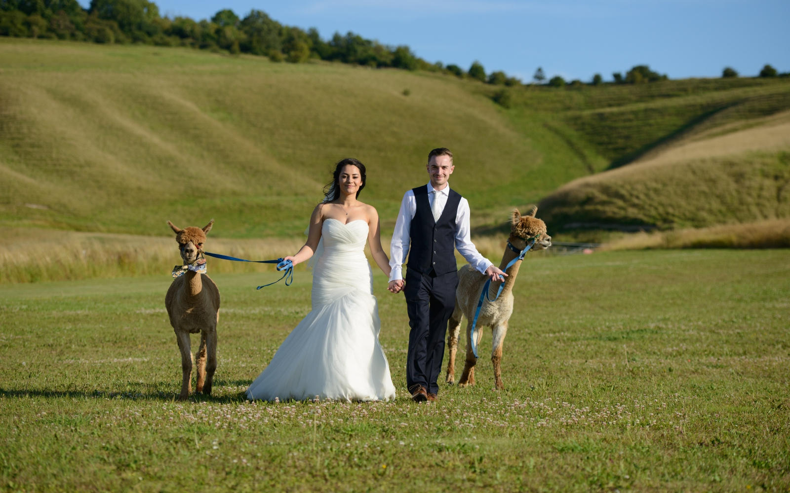 Steffen Milsom Photography real wedding Wiltshire Wellington Barn