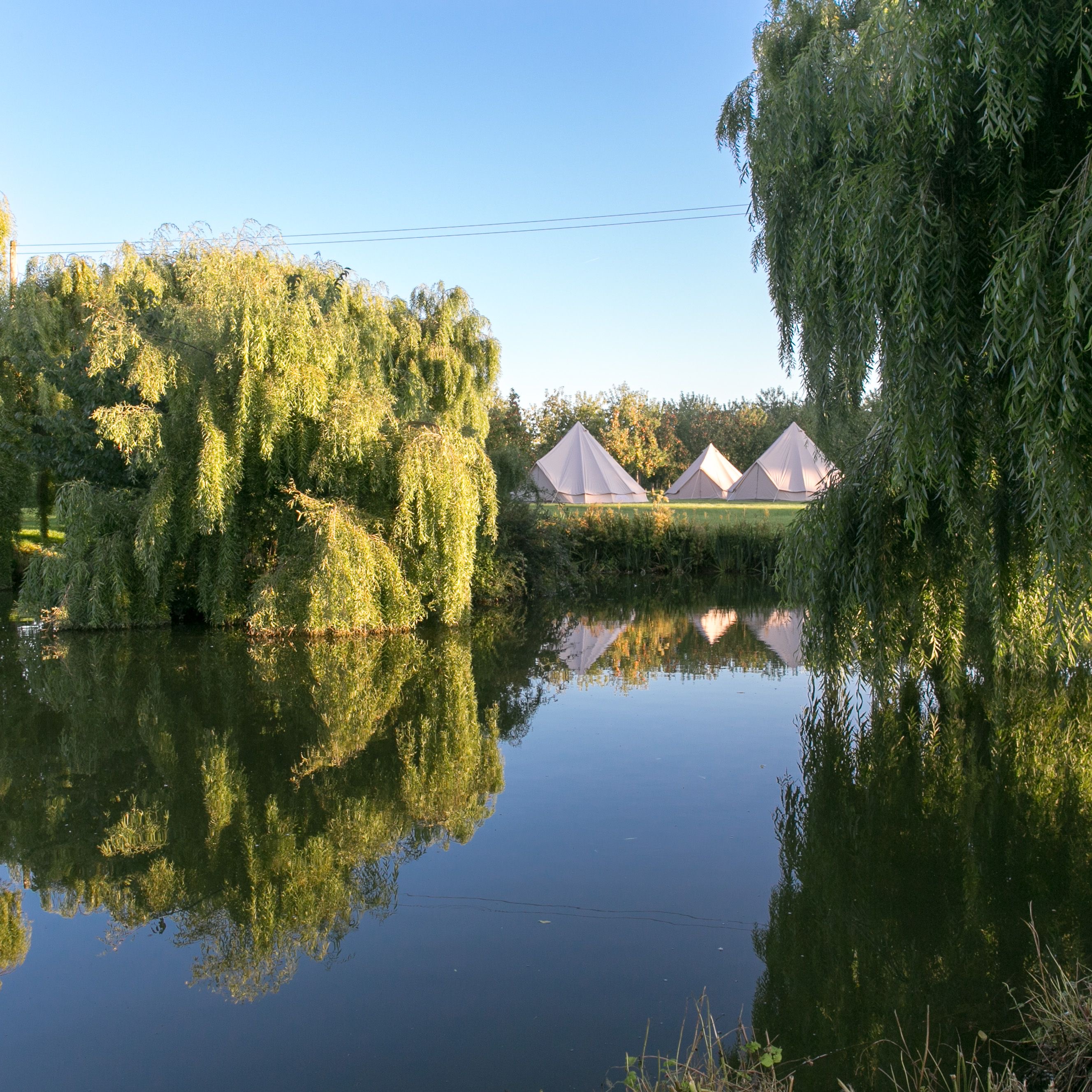 Meet our Supplier of the Month: The Orchard at Munsley